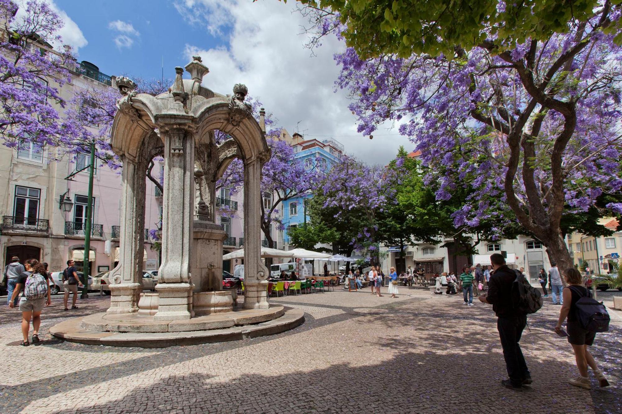 Carmo